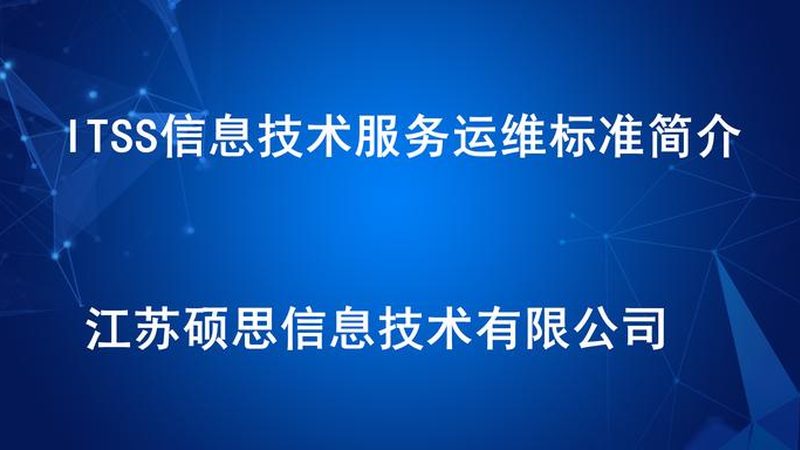 信息技术服务项目招标定制方案：如何精准匹配企业需求**