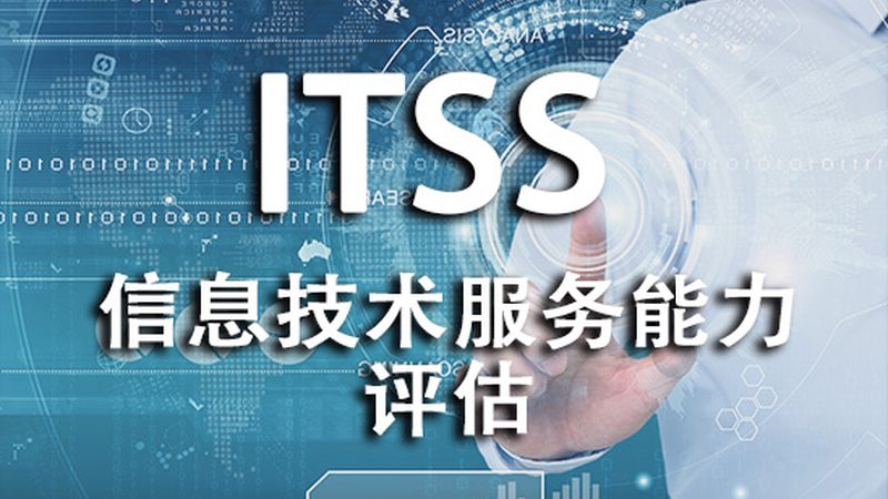 系统运维服务：揭秘十大品牌背后的技术实力与合规标准