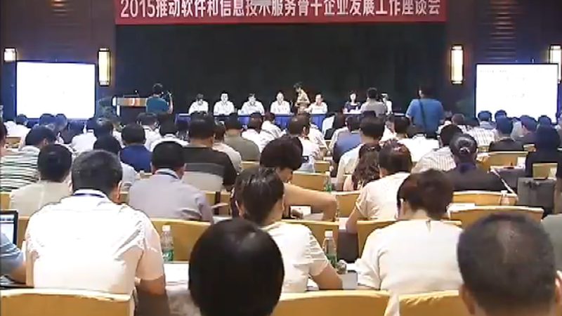 这些客户在选择IT咨询服务时，通常关注以下几个核心要素：